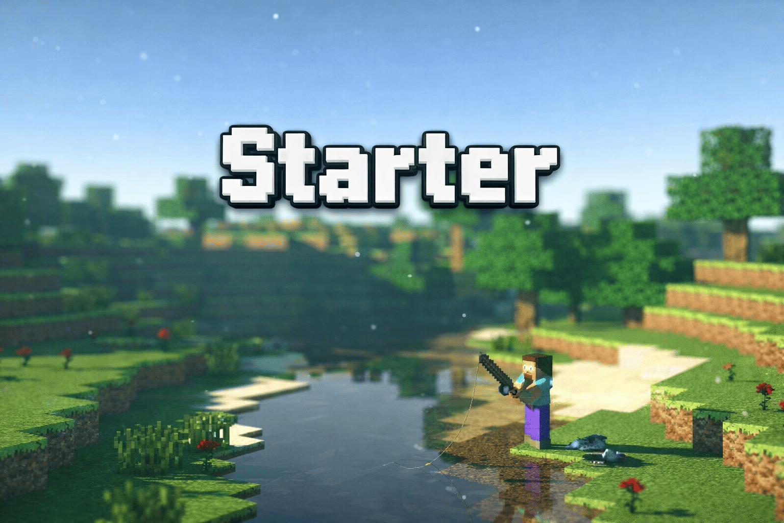 Minecraft Starter