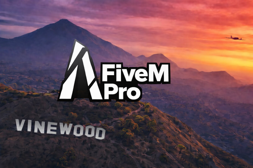 FiveM Pro